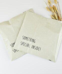 Eco-Friendly Recycled Paper Full-Color Printing Shipping Mailer