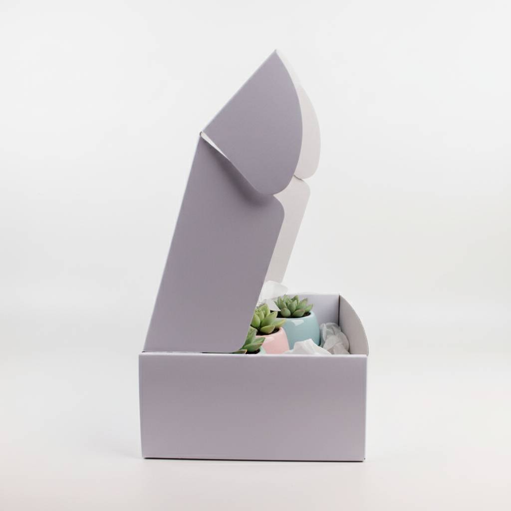 Sophisticated White Mailer Boxes With Custom Logo Branding Options Sophisticated White Mailer Boxes With Custom Logo Branding Options