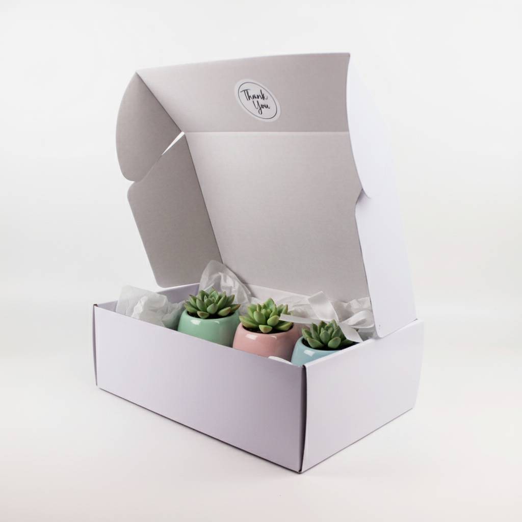 Custom Minimalist White Mailer Boxes For Elegant Brand Presentation Custom Minimalist White Mailer Boxes For Elegant Brand Presentation
