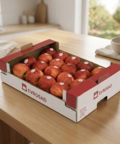 Premium fruit gift box with open-box design supplier