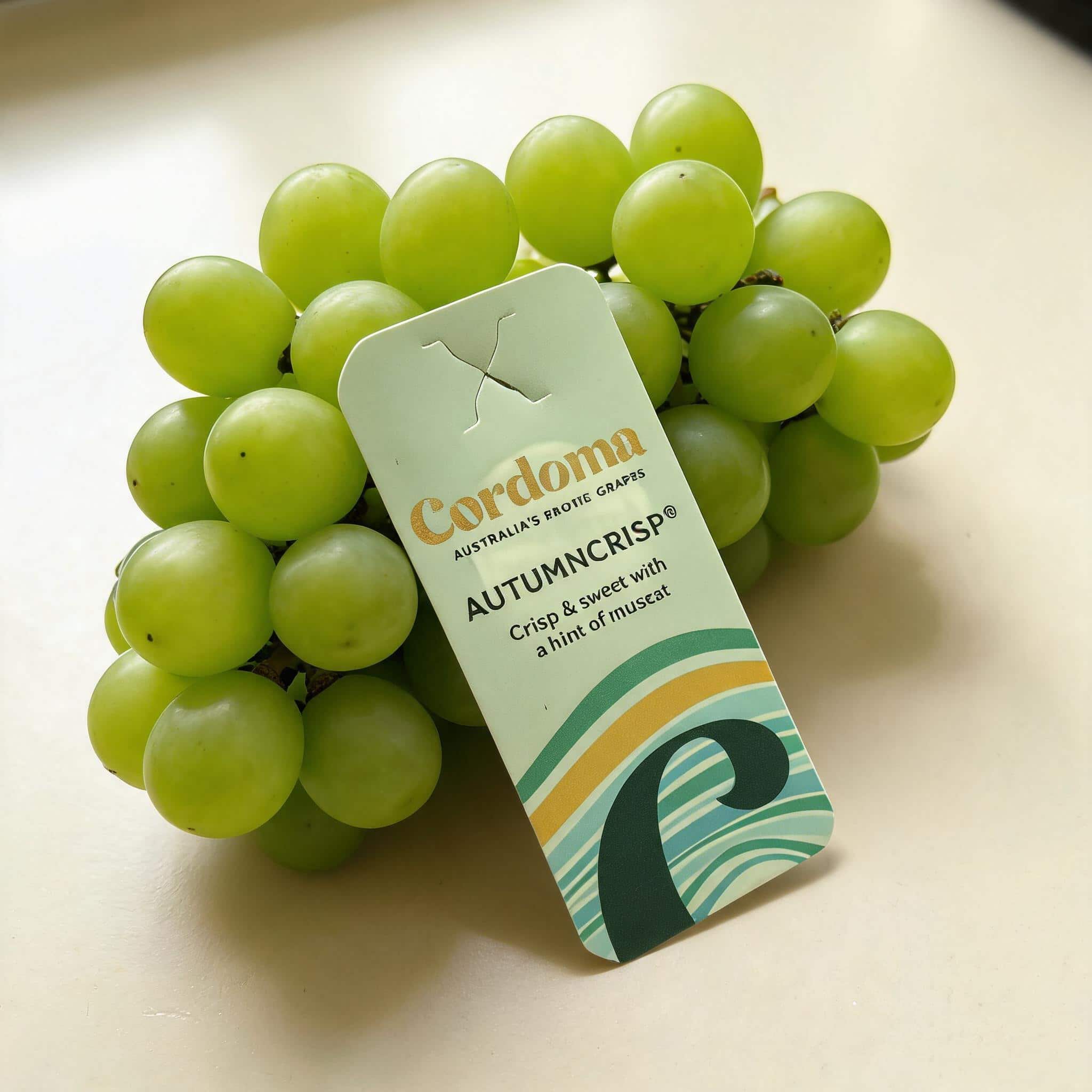 Custom shape paper fruit hang tag for fresh produce Custom shape paper fruit hang tag for fresh produce
