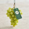 Wholesale printed fruit hang tags for fresh green grapes