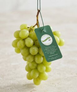 Wholesale printed fruit hang tags for fresh green grapes