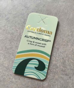 Custom eco-friendly paper fruit hang tag for green grapes