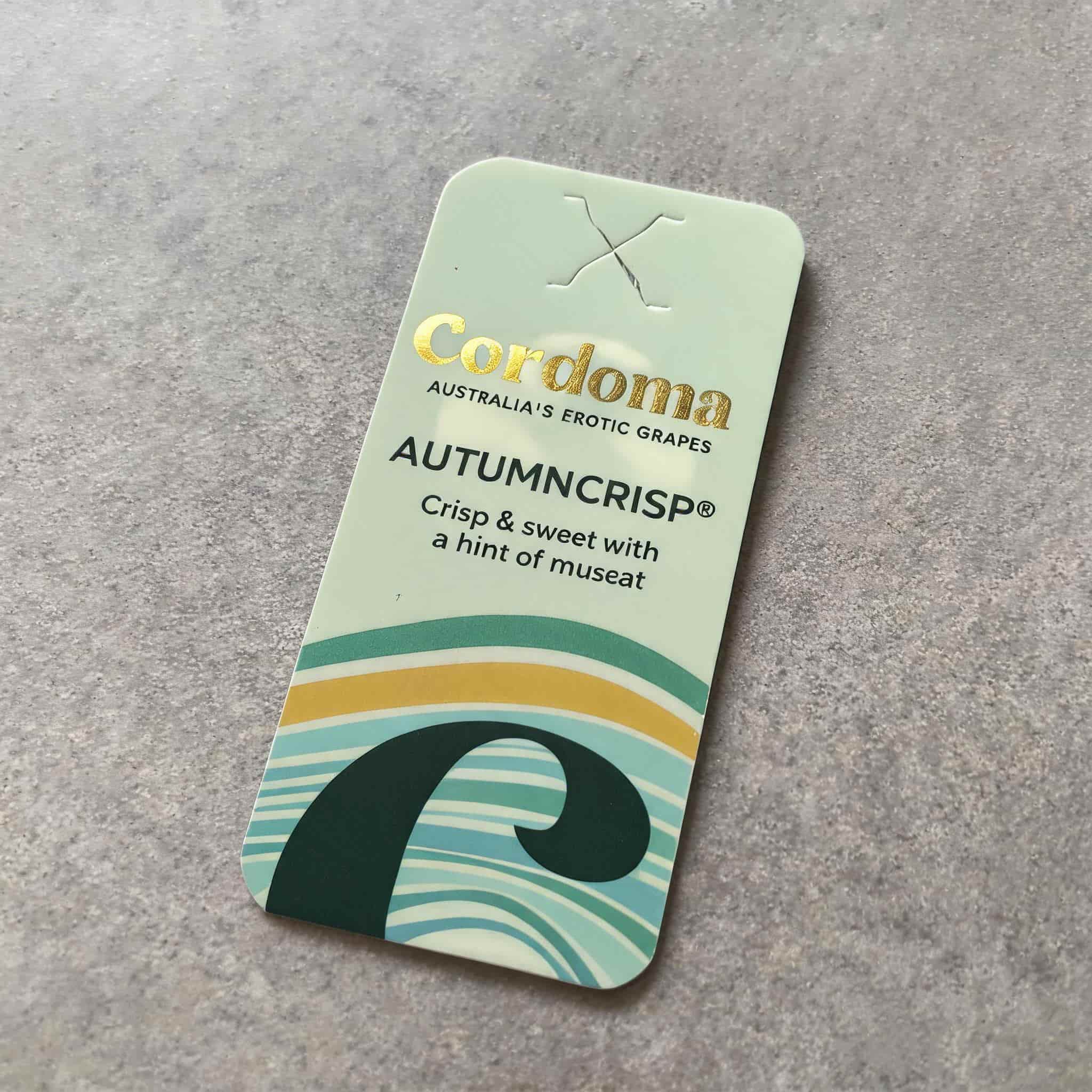 Custom eco-friendly paper fruit hang tag for green grapes Custom eco-friendly paper fruit hang tag for green grapes