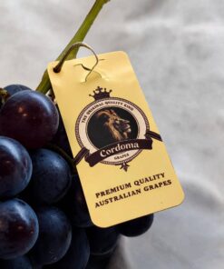 Biodegradable premium grape brand paper hang tag