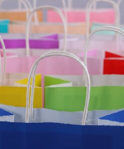 Personalized Multi-Color Paper Bag Manufacturer
