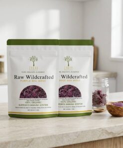 Custom Food-Grade Stand-Up Bottom Gusset Seal Bags