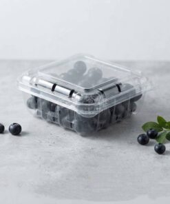 Wholesale Custom Logo Transparent PET Box For Organic Berry Retail
