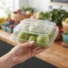 Custom Clear PET Plastic Apple Packaging Box For Supermarket Display